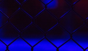 UFC 297: Title Fights and Rising Tensions